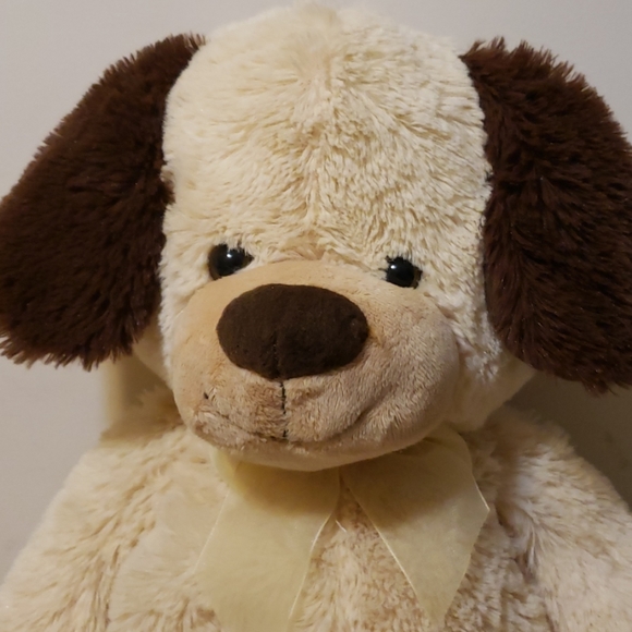 Bear - Picture 8 of 8